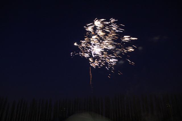21-04-13 (333)