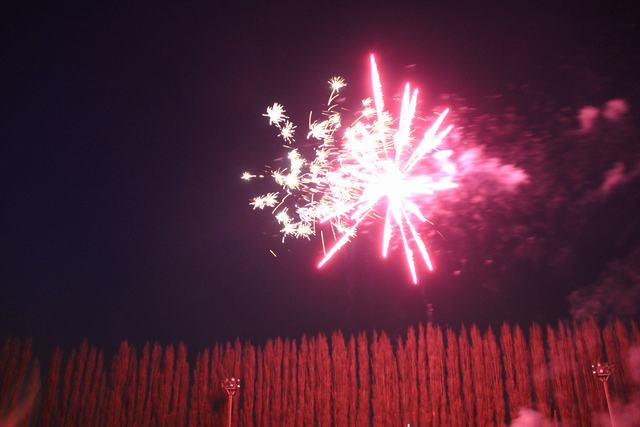 21-04-13 (334)