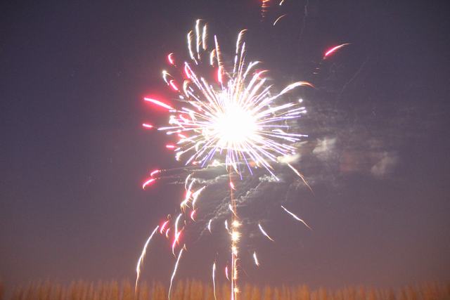 21-04-13 (338)