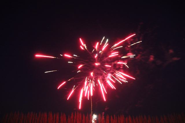 21-04-13 (341)