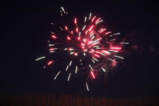 21-04-13 (343)
