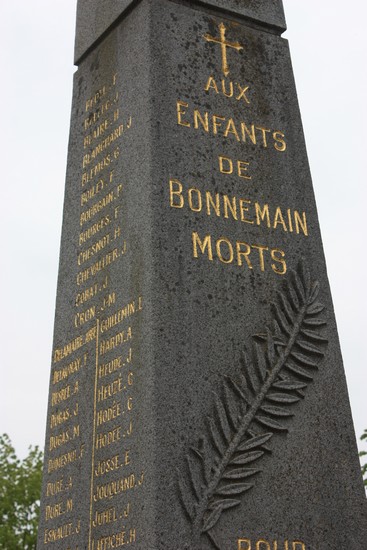 Bonnemain (14)