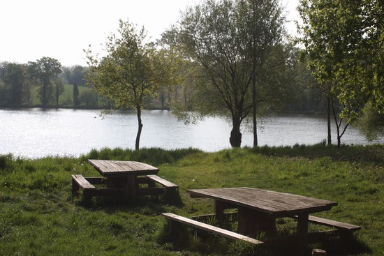 Bonnemain (44)