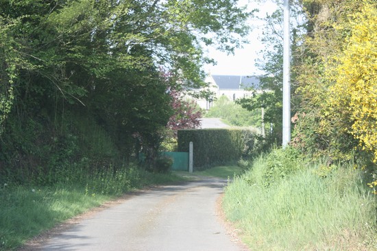 Bonnemain (49)