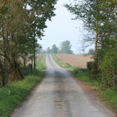 Bonnemain (7)