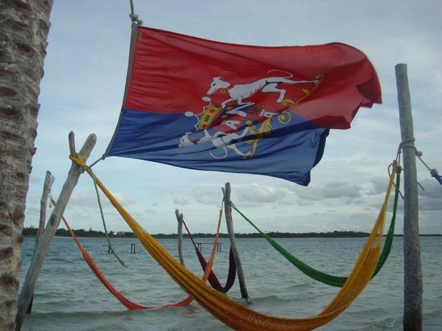 drapeau-monde (265)