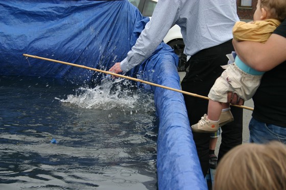 Photo (16)