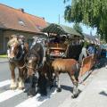 Photo (2)