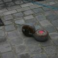 Photo (5)