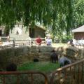Photo (7)