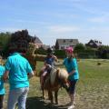 Photo (9)