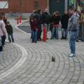 Photo (9)