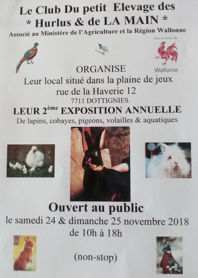 2e Exposition annuelle du petit elevage - Dottignies