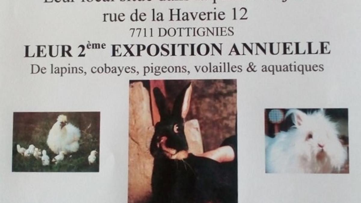 2e Exposition annuelle du petit elevage - Dottignies
