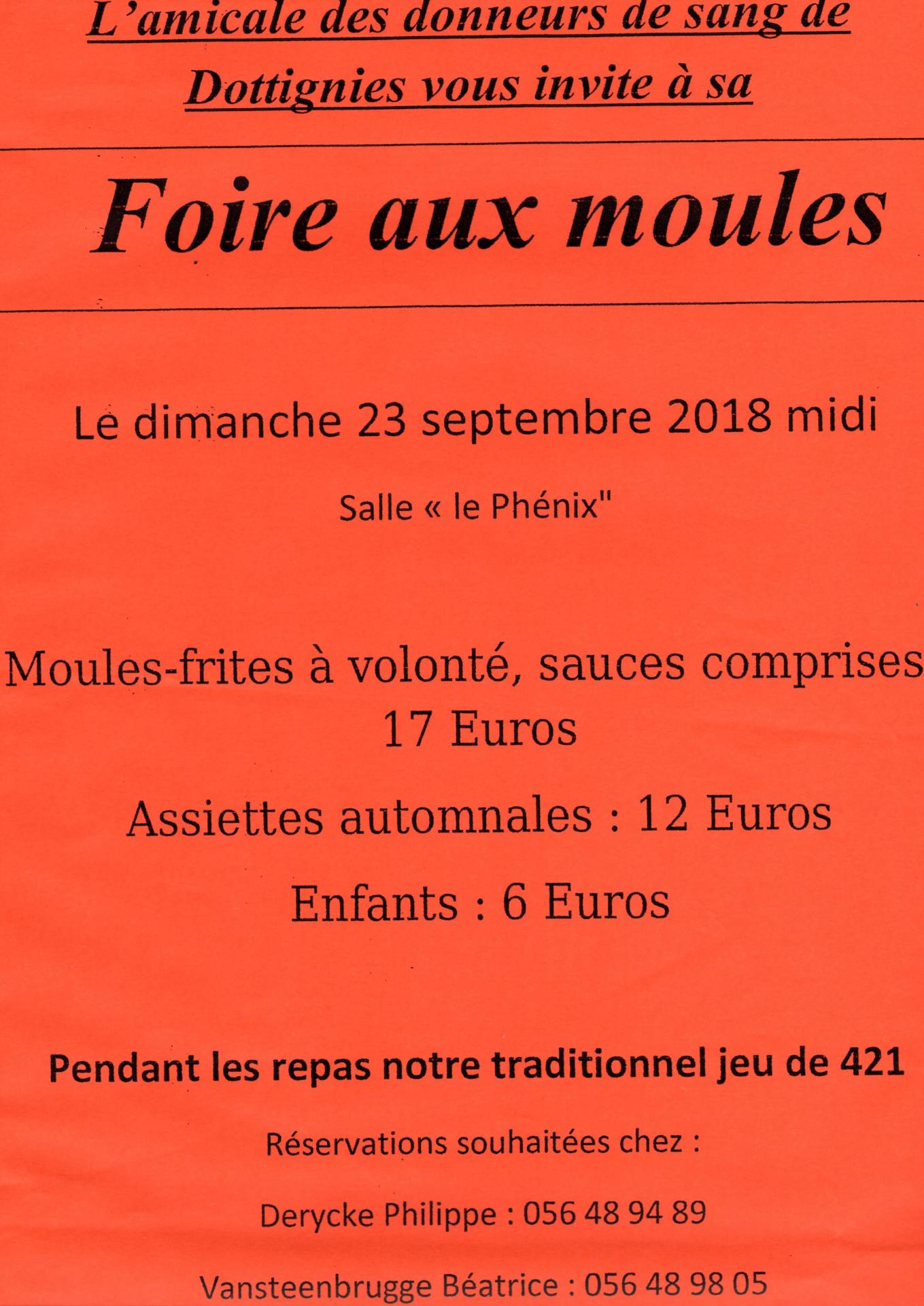 Foire aux Moules - Dottignies