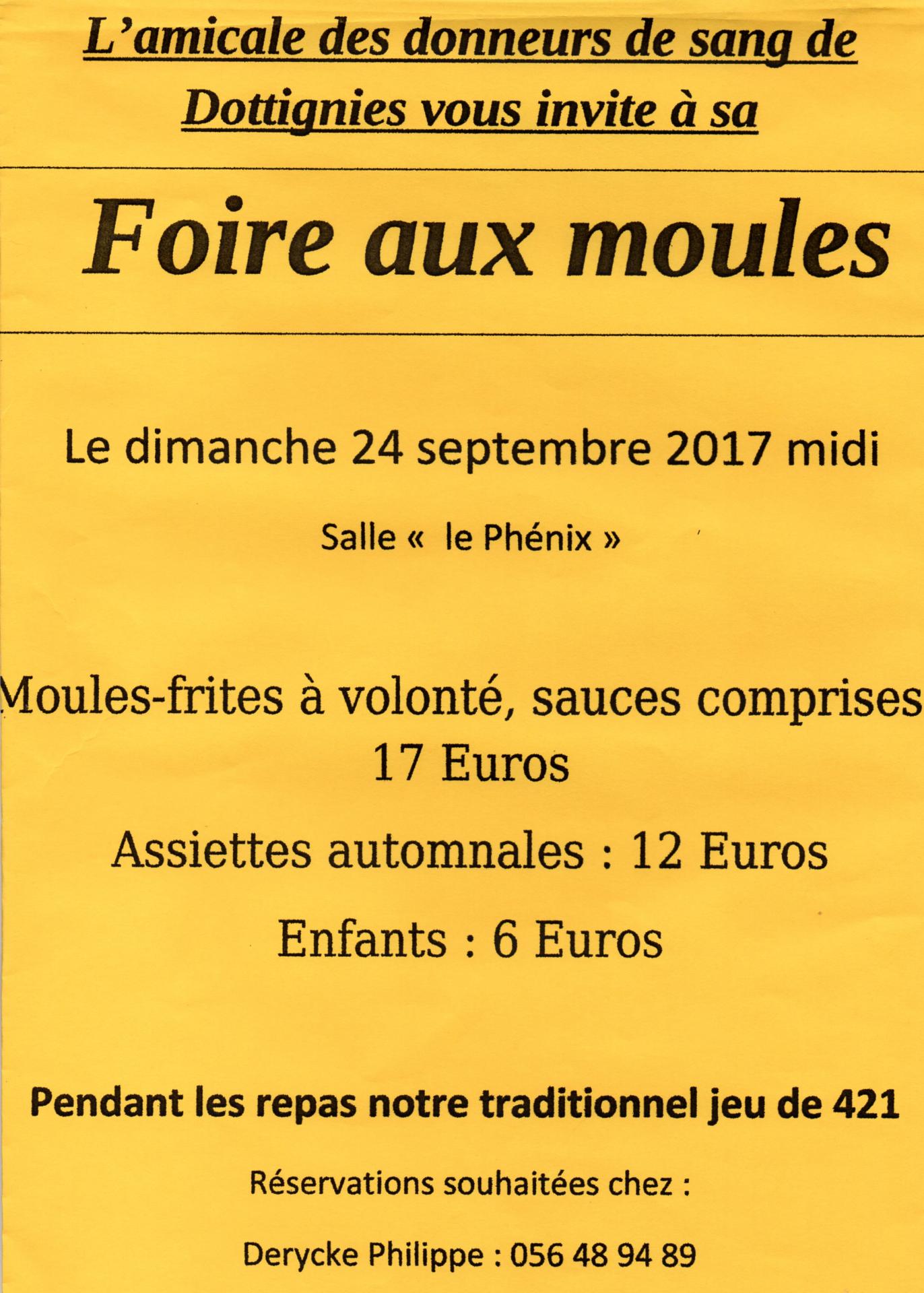 Foire aux Moules - Dottignies